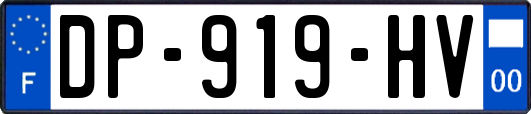 DP-919-HV