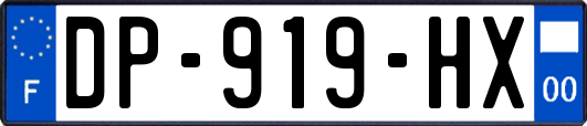 DP-919-HX
