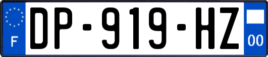 DP-919-HZ