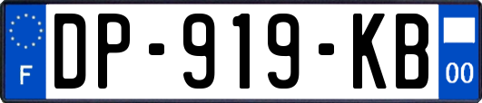 DP-919-KB