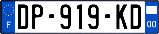 DP-919-KD