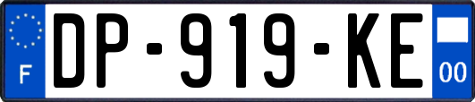 DP-919-KE
