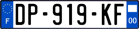 DP-919-KF