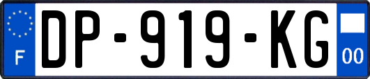 DP-919-KG