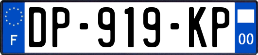 DP-919-KP