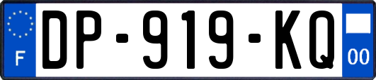DP-919-KQ