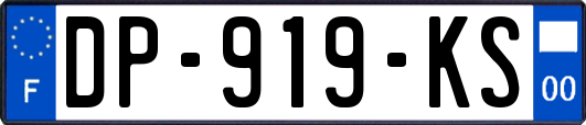 DP-919-KS