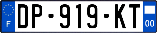 DP-919-KT