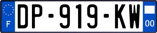 DP-919-KW