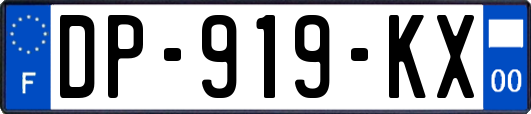 DP-919-KX