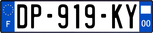 DP-919-KY