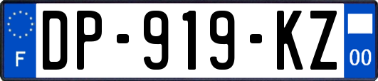 DP-919-KZ