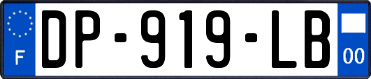 DP-919-LB