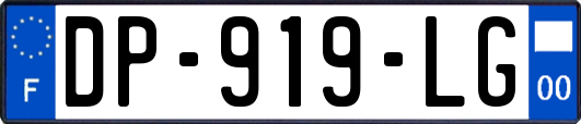 DP-919-LG