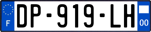 DP-919-LH