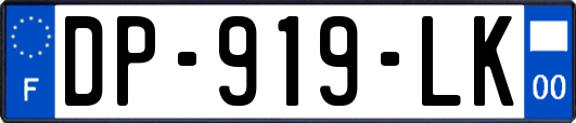 DP-919-LK