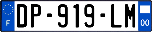 DP-919-LM