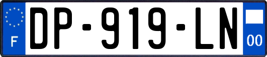 DP-919-LN