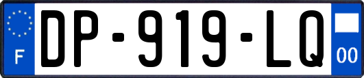 DP-919-LQ