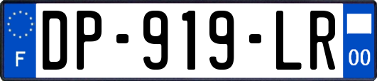DP-919-LR