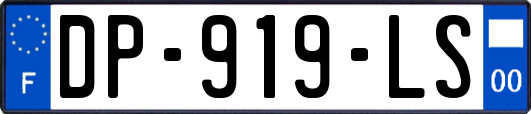 DP-919-LS