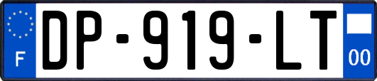 DP-919-LT