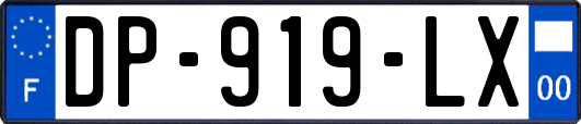 DP-919-LX