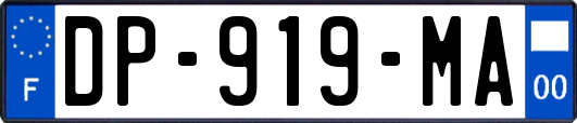 DP-919-MA