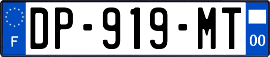 DP-919-MT