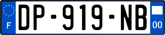 DP-919-NB