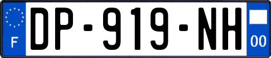 DP-919-NH