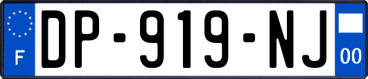 DP-919-NJ