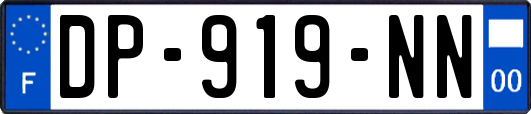 DP-919-NN