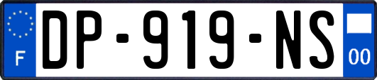 DP-919-NS
