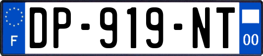 DP-919-NT
