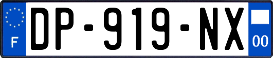 DP-919-NX