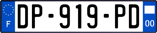 DP-919-PD