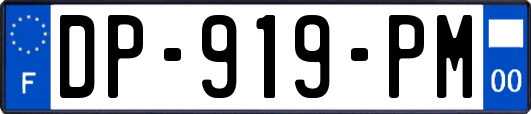 DP-919-PM