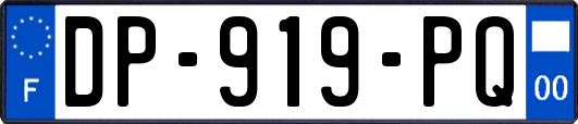 DP-919-PQ