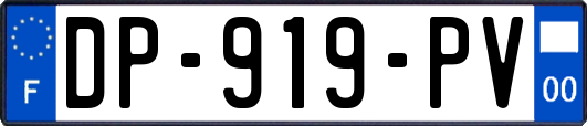 DP-919-PV