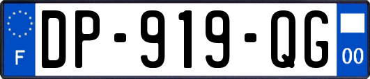 DP-919-QG
