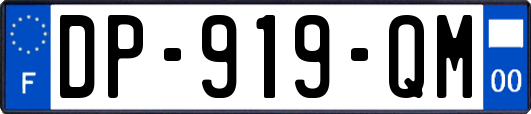 DP-919-QM