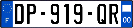 DP-919-QR