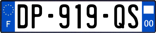 DP-919-QS