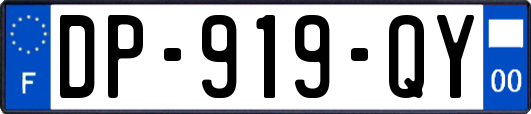 DP-919-QY