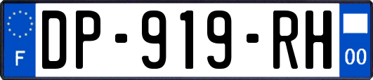 DP-919-RH