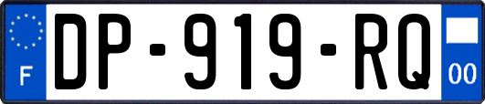 DP-919-RQ