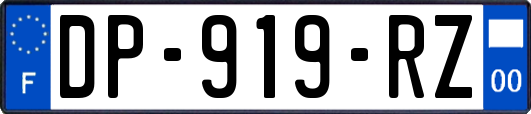 DP-919-RZ