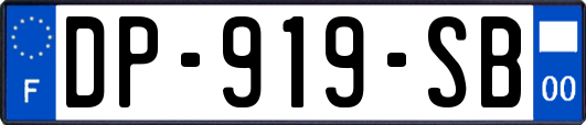 DP-919-SB