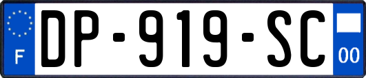 DP-919-SC